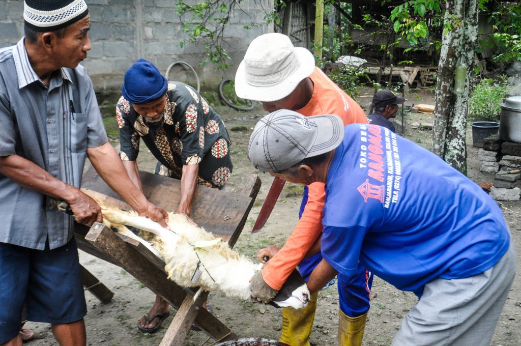 Qurban Jangkau Pelosok: LAZISMU DIY Bersama IMM FKM UAD dan Masjid Al Fatah Tebar Kebahagiaan di Kalibawang Kulon Progo