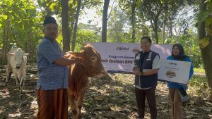 BPKH dan Lazismu DIY Salurkan kepada 150 KK Hewan Kurban di Padukuhan Semingin