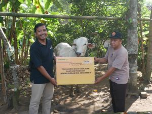 Mybank Syariah Percayakan Hewan Qurban kepada LAZISMU DIY
