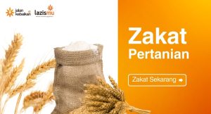 zakat pertanian lazismu